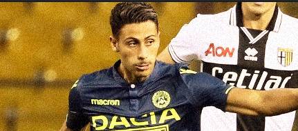 平台的生态 平台的生态