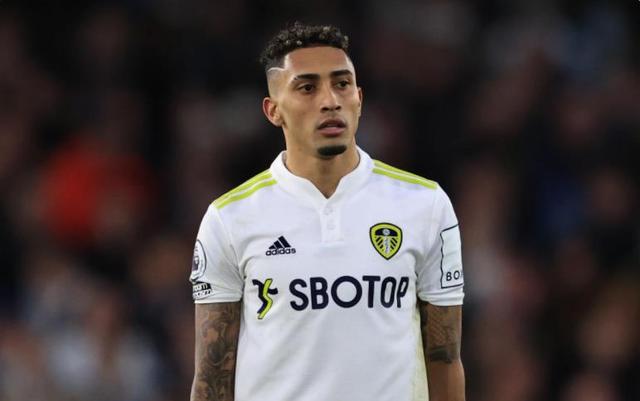 这次情形颇 这次情形颇