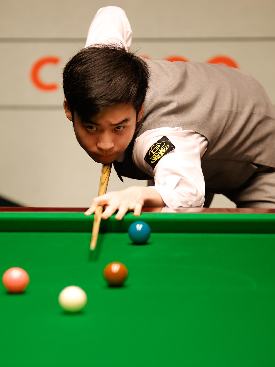 可被操纵的 可被操纵的